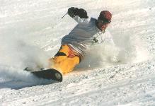 droll.jpg (7525 Byte)