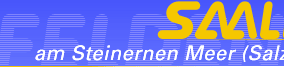 sallfelden-1.gif (5165 Byte)