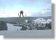 sprung schoenwald.jpg (6393 Byte)